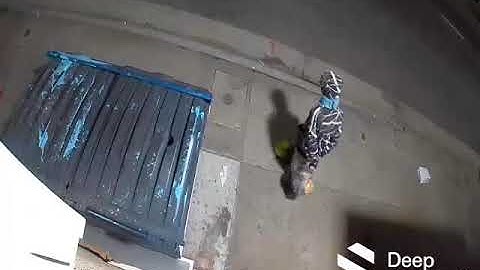 STOPPED by Deep Sentinel #15: Protecting Businesses During the Pandemic