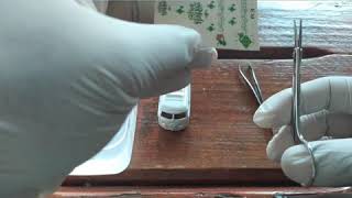 Download Lagu Kool Kombi Hotwheels Custom 'Selamat Hari Raya' MP3