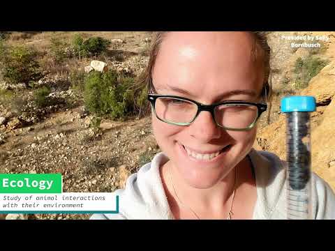 Audio Description - Women Creating Conservation: Sally Bornbusch