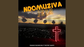 Ndomuziva Jesu (feat. Britney Sadete) - Panashe Muchenyura