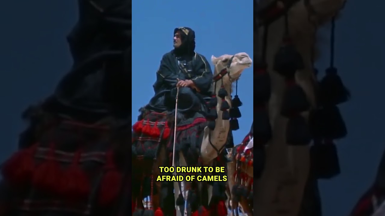 Hollywood Stars Who Were Drunk All The Time