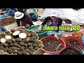 ตลาดนัดไทยลาว อ.ธาตุพนม ตลาดของป่าลาว เห็ดเผาะ อึ่ง หลายคัก