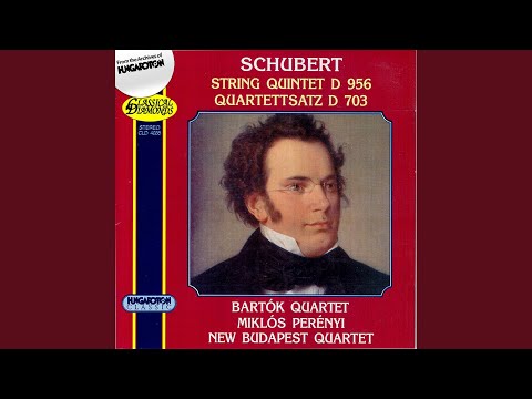 Quartettsatz: String Quartet No. 12 in C minor