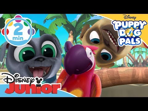 puppy-dog-pals-|-bob's-bird-song-🎶|-disney-junior-uk