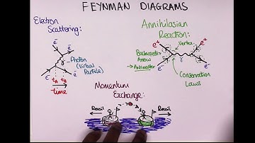 Feynman diagrams