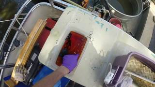 Implanting Acoustic Tags in Largemouth Bass