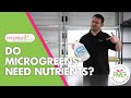 Do microgreens need nutrients