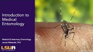 Introduction to Medical Entomology