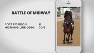 2017 Kentucky Derby Contenders