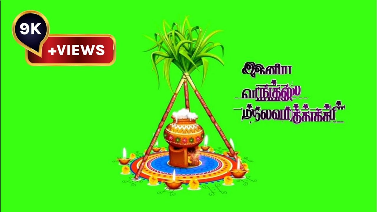 Pongal Green Screen | Happy Pongal 2023 | Pongal Background | QHD 