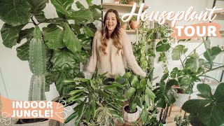 Houseplant Tour 2020 + Care tips and best plants for beginners