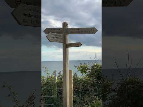 Branscombe Beach & Hooken cliffs