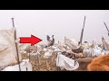 This Guy Almost Gets Taken Out By Falling Goose!!