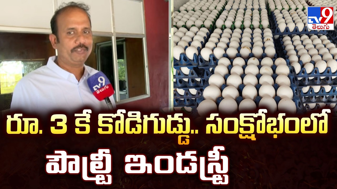 Middle East War Halts Indian Egg Exports : పౌల్ట్రీ పరిశ్రమకు ఊపిరాడని దుస్థితి.. రూ.3కే గుడ్డు..!!