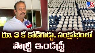 Middle East War Halts Indian Egg Exports ర. 3 క కడగడడ.. సకషభల పలటర ఇడసటర - Tv9
