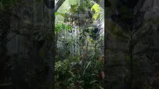 Download Lagu Dari panas ke hujan\ MP3