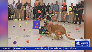 Retiring UT Police K-9 surprised with tennis ball sendoff