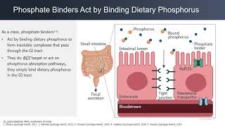 Beyond phosphate binders