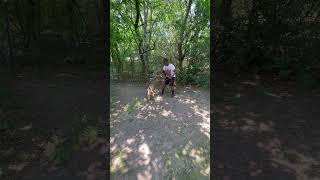 Inside Bred Eli Hound On Some Bite Work