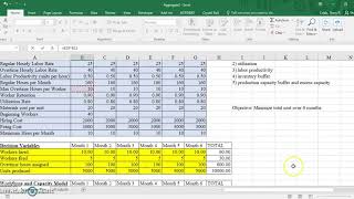 SOP Workforce and Production Model