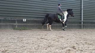 Flatwork Raw 3.4.2021