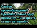 Слабое кровообращение? Сделайте только одну привычку — и старость станет активной!