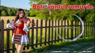 Muzica ce aduce bucurie în suflet | Formatia Curnut - Bate vintul ramurele