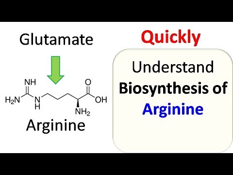 Arginine biosynthesis