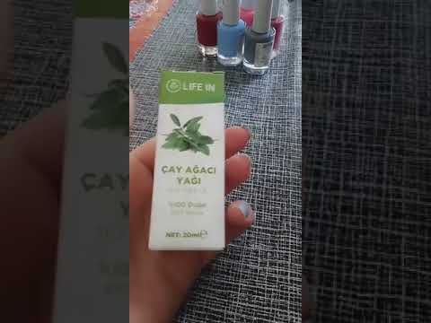 زيت شجرة الشاي