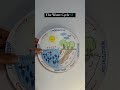 🌊💦  water cycle school project