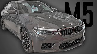 2019 BMW M5 - Interior and Exterior Walk Around in 4K