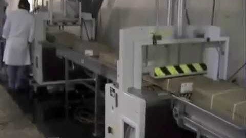 Dynaric DF11A Fully Automatic Strapper | ProPac.com