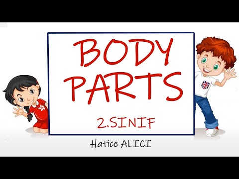 İNGİLİZCE 2.SINIF BODY PARTS / KONU ANLATIMI