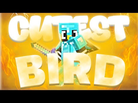 THE CUTEST BIRD 🐦🔥 | Sword x Mace Montage