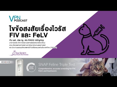 VPN Podcast EP.8 - ไขข้อสงสัยเรื่องไวรัส FIV/FeLV