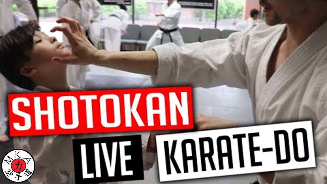 Shotokan Karate Training Live