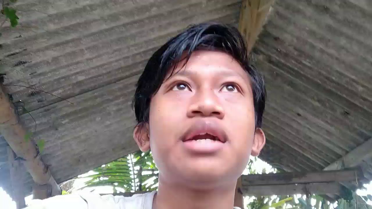 Obat Batuk - Jeruk Nipis | Pramuka Blok ! Obat-obatan Tradisional Real