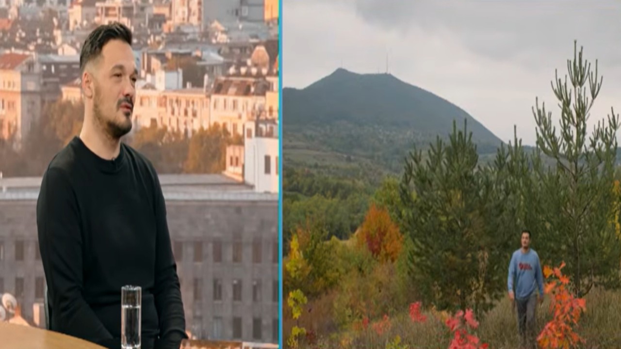 Priča koja inspiriše: Stefan na dedovini sadi šumu već čitavu deceniju