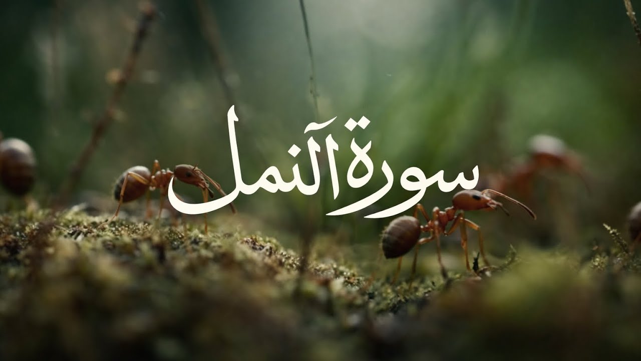 سورة النمل كاملة بصوت القارئ طارق محمد