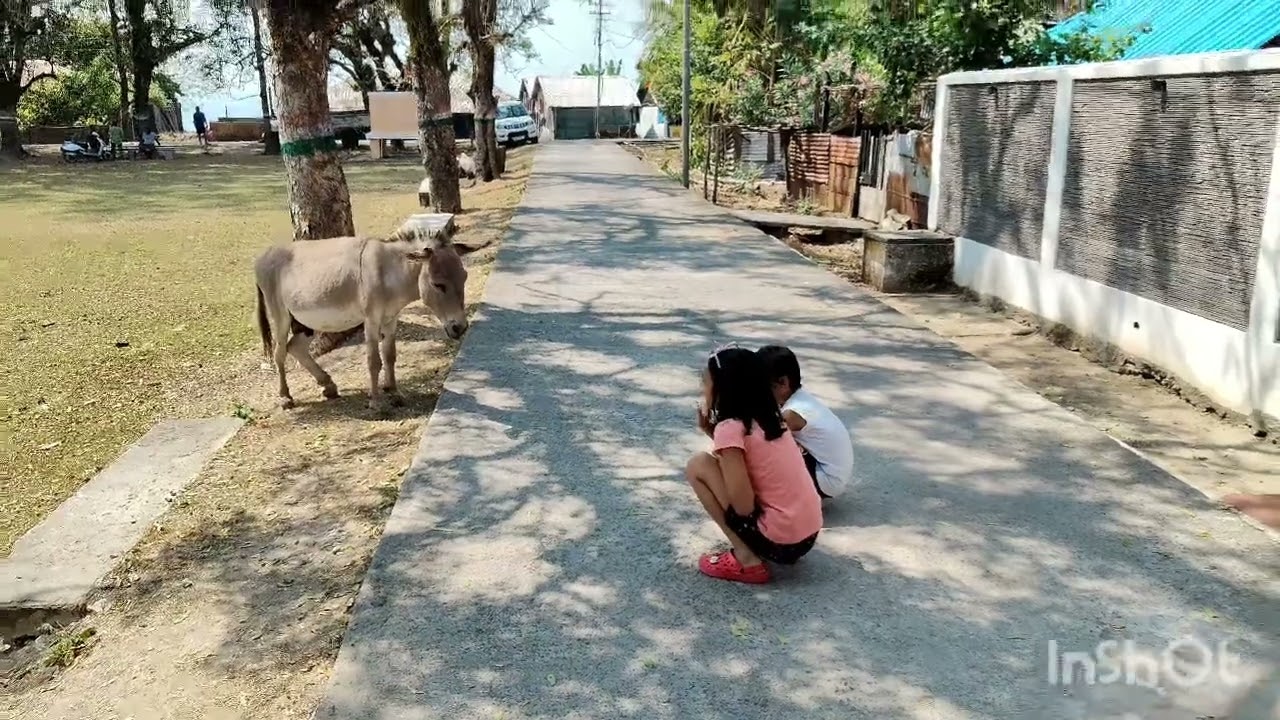 Long island and merk bay