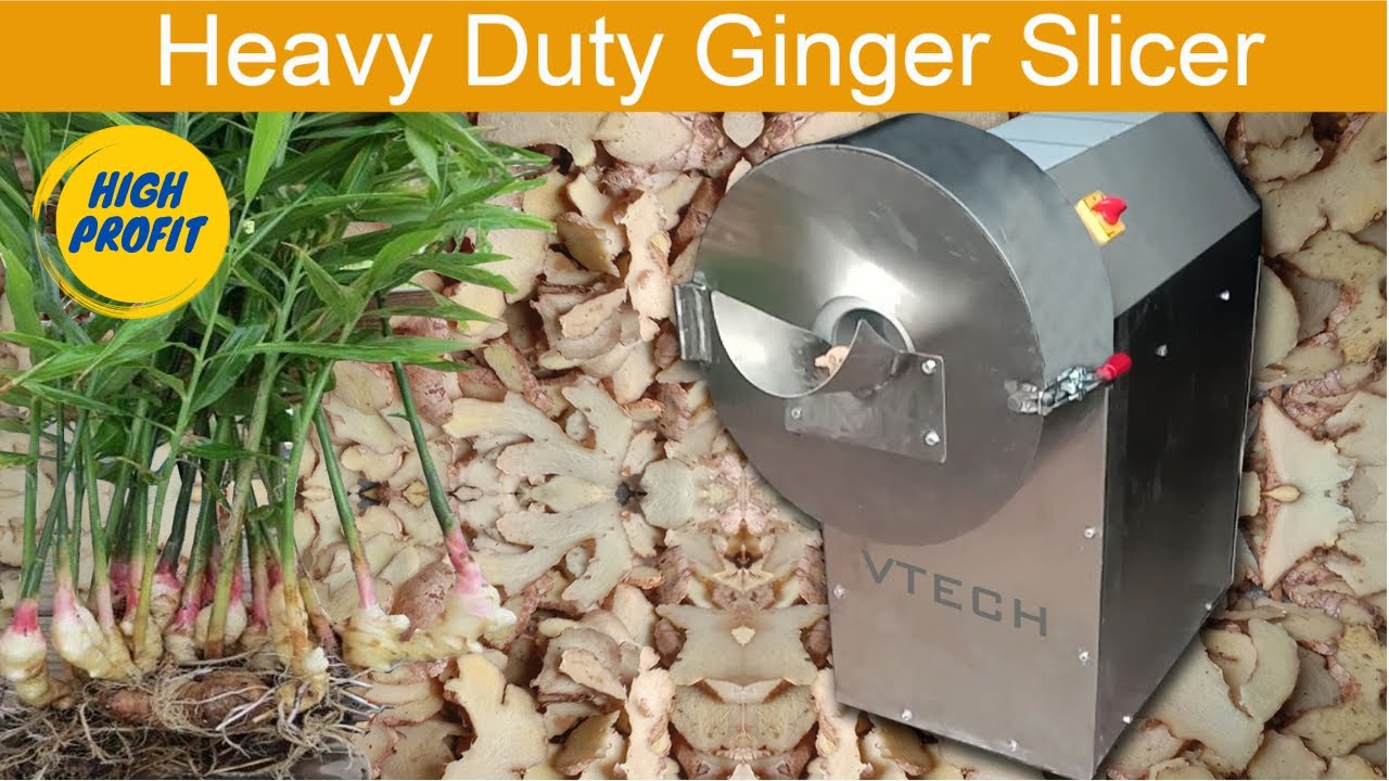 Commercial Electric Paper Thin Garlic Slicer Machine For Ginger