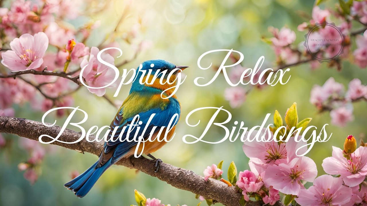 Spring Relax Music MIX. Peaceful Birdsong ๐ผ๐ฆ - YouTube