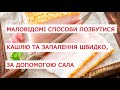 Маловідомі способи позбутися кашлю та запалення швидко, за допомогою сала