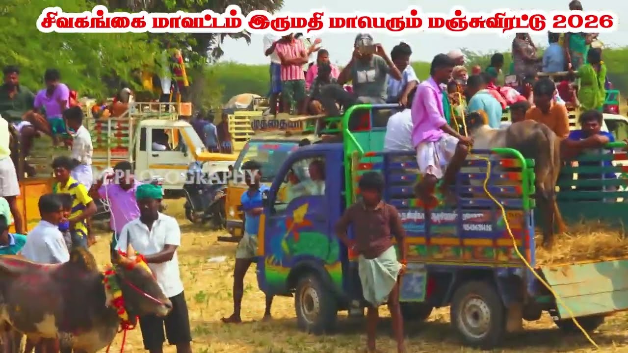 இருமதி மாபெரும் மஞ்சுவிரட்டு பகுதி 2