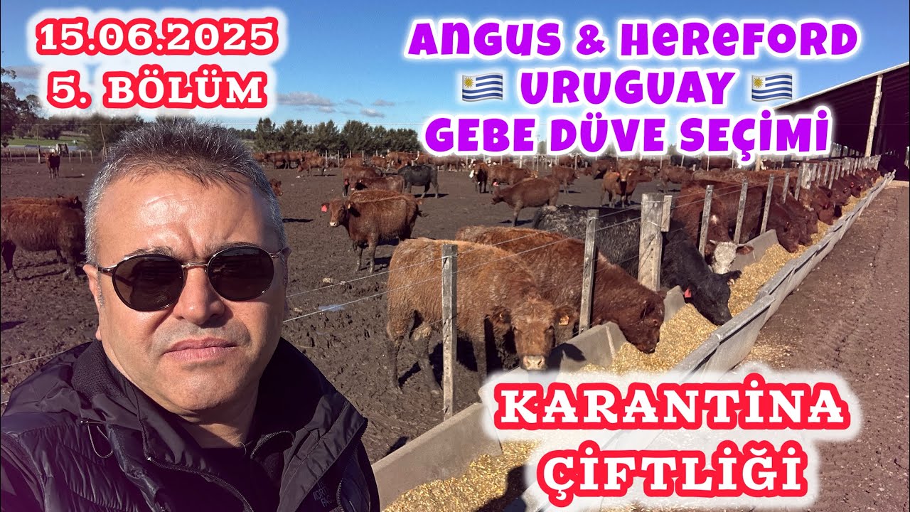 URUGUAY ‘da KARANTİNA ÇİFTLİĞİNDEYİM.