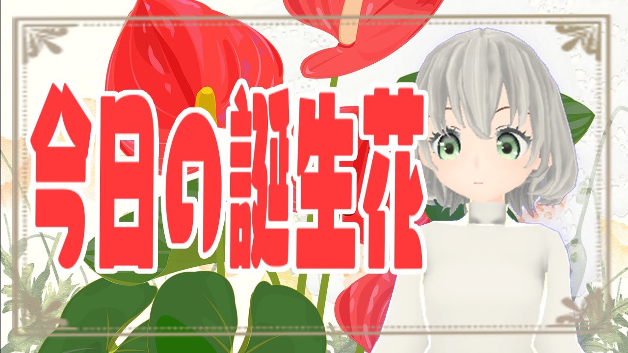 花言葉 １２月１日の誕生花は 花白もか Youtube