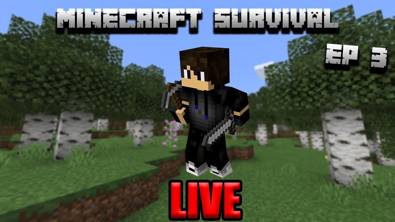 Minecraft Survival EP3, LIVE - YouTube