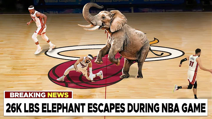 Most VIRAL Moments in NBA History😲
