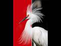 Adobe Photoshop 2026 - Tips for fixing errors when automatically removing the background #ducthangds