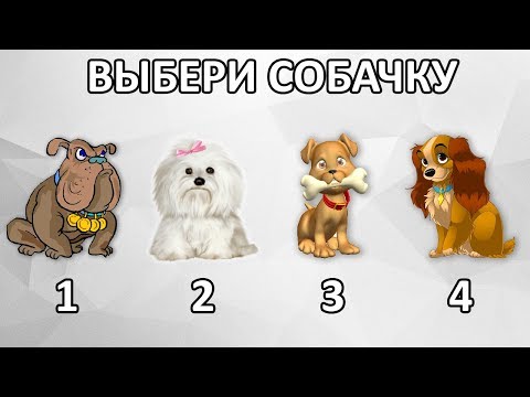 Пес ничего не ел более 6 месяцев. Когда выяснилось почему, все впали в ступор